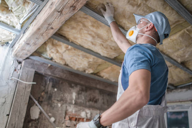 Types of Insulation We Offer in Ludowici, GA