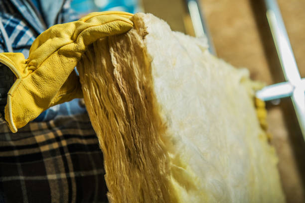 Best Insulation for Specific Applications in Ludowici, GA