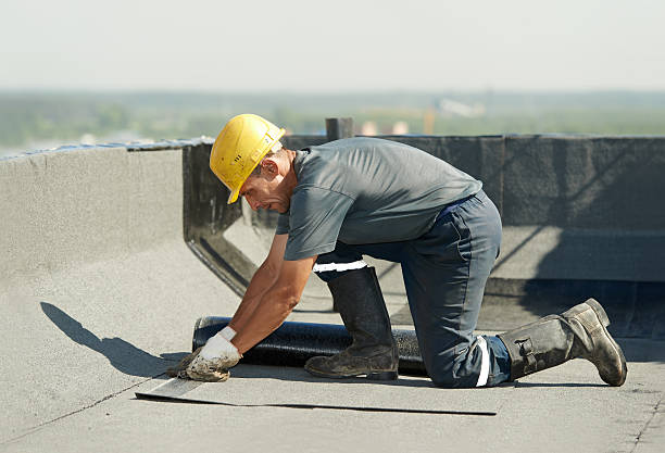 Best Commercial Insulation in Ludowici, GA